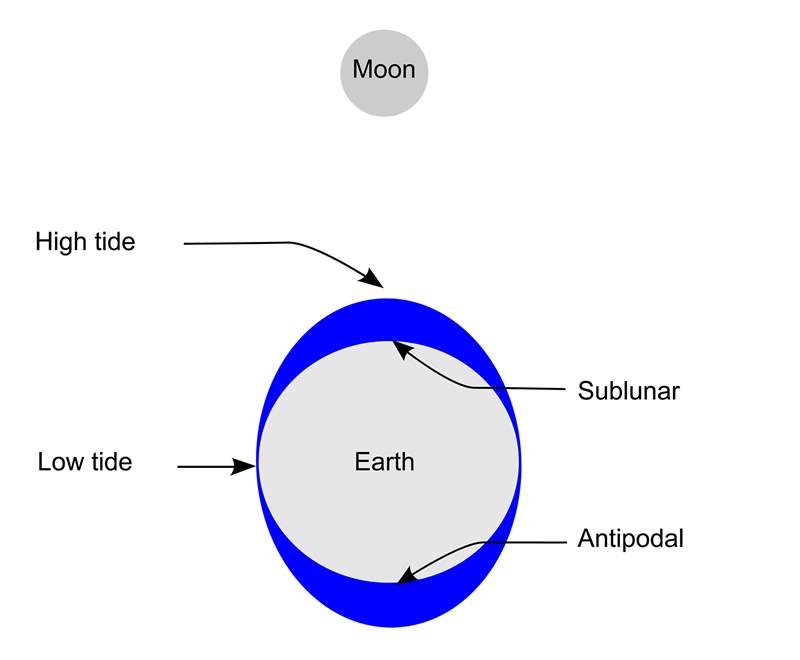 僅僅因為月亮、潮汐和洪水-復(fù)刻表